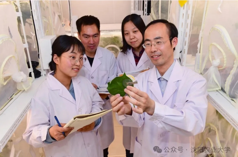 欧博(中国)唯一官方网站