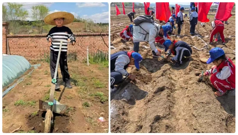 欧博(中国)唯一官方网站